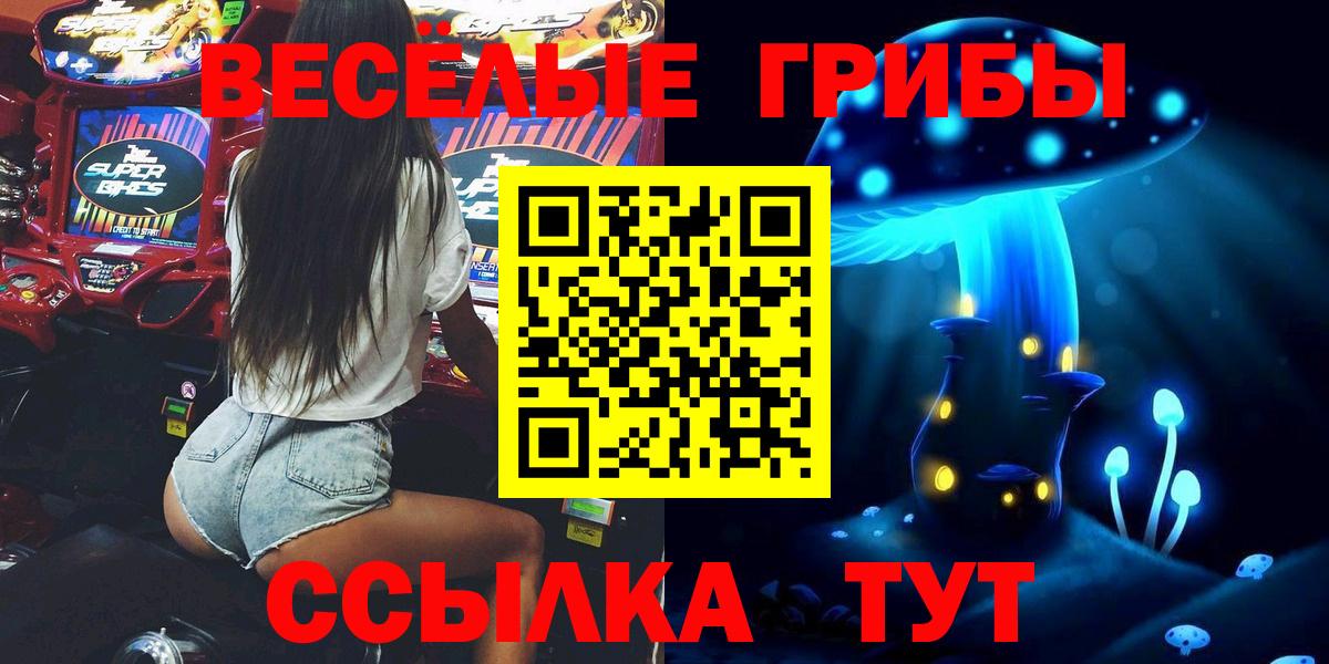 Кузнецк  Псилоцибиновые грибы Psilocybine cubensis  купить закладку  Вход с VPN 
